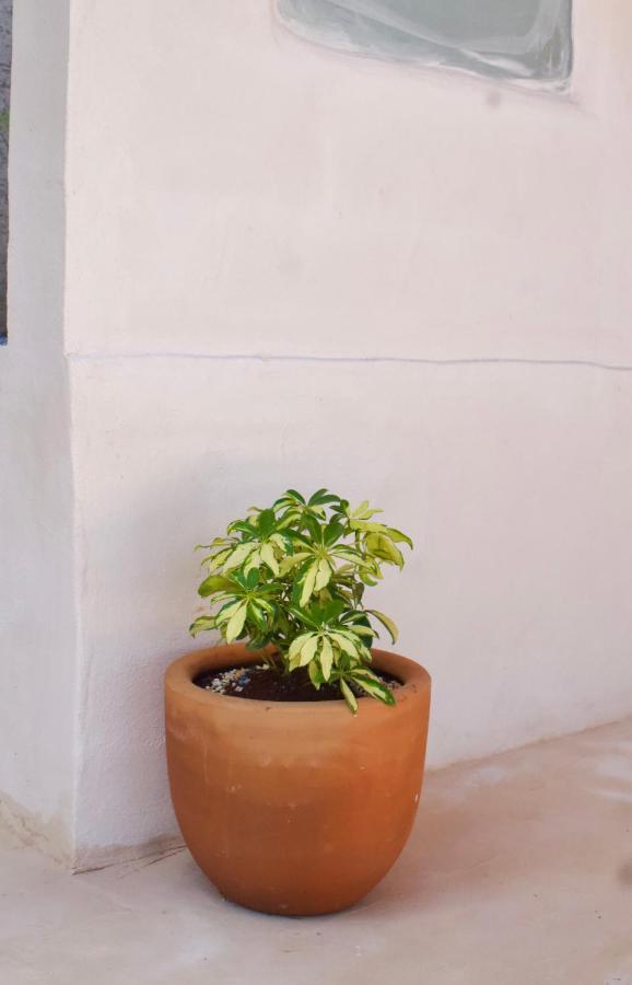Casa Del Artista - B&B Πλάγια Ντελ Κάρμεν Εξωτερικό φωτογραφία