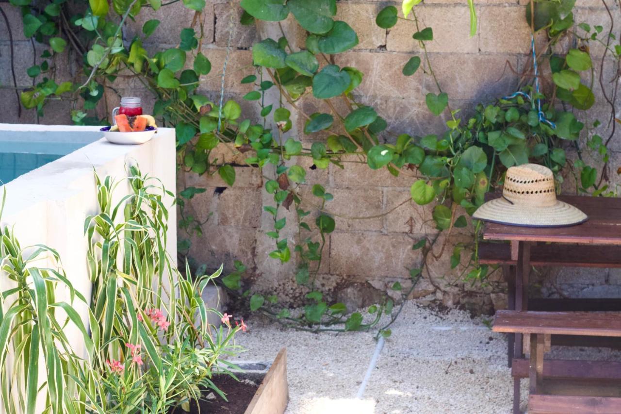 Casa Del Artista - B&B Πλάγια Ντελ Κάρμεν Εξωτερικό φωτογραφία